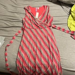 Francesca’s Sleeveless V Neck dress